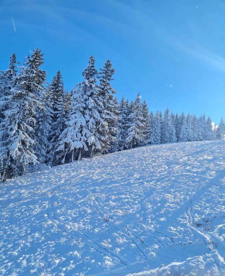 Flora Ski-Slope Studio Apartment Borovets Exterior foto