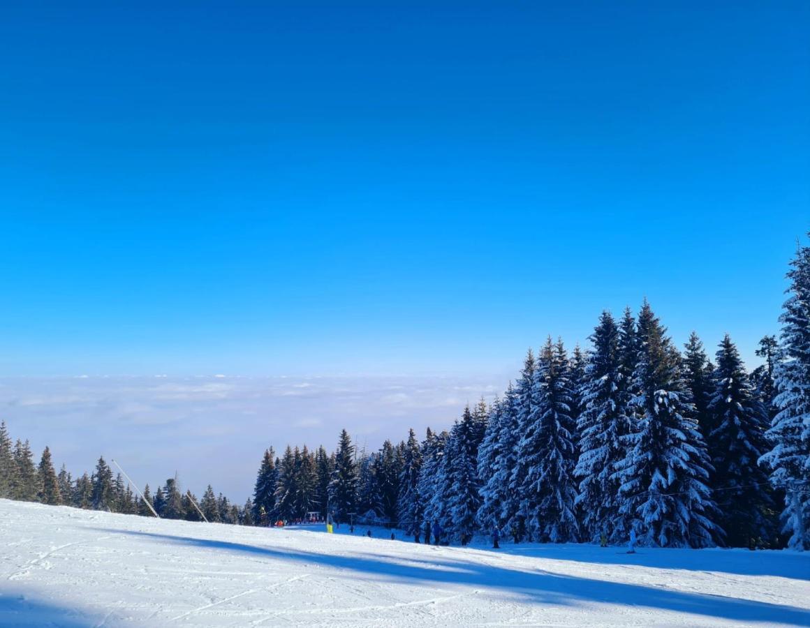 Flora Ski-Slope Studio Apartment Borovets Exterior foto