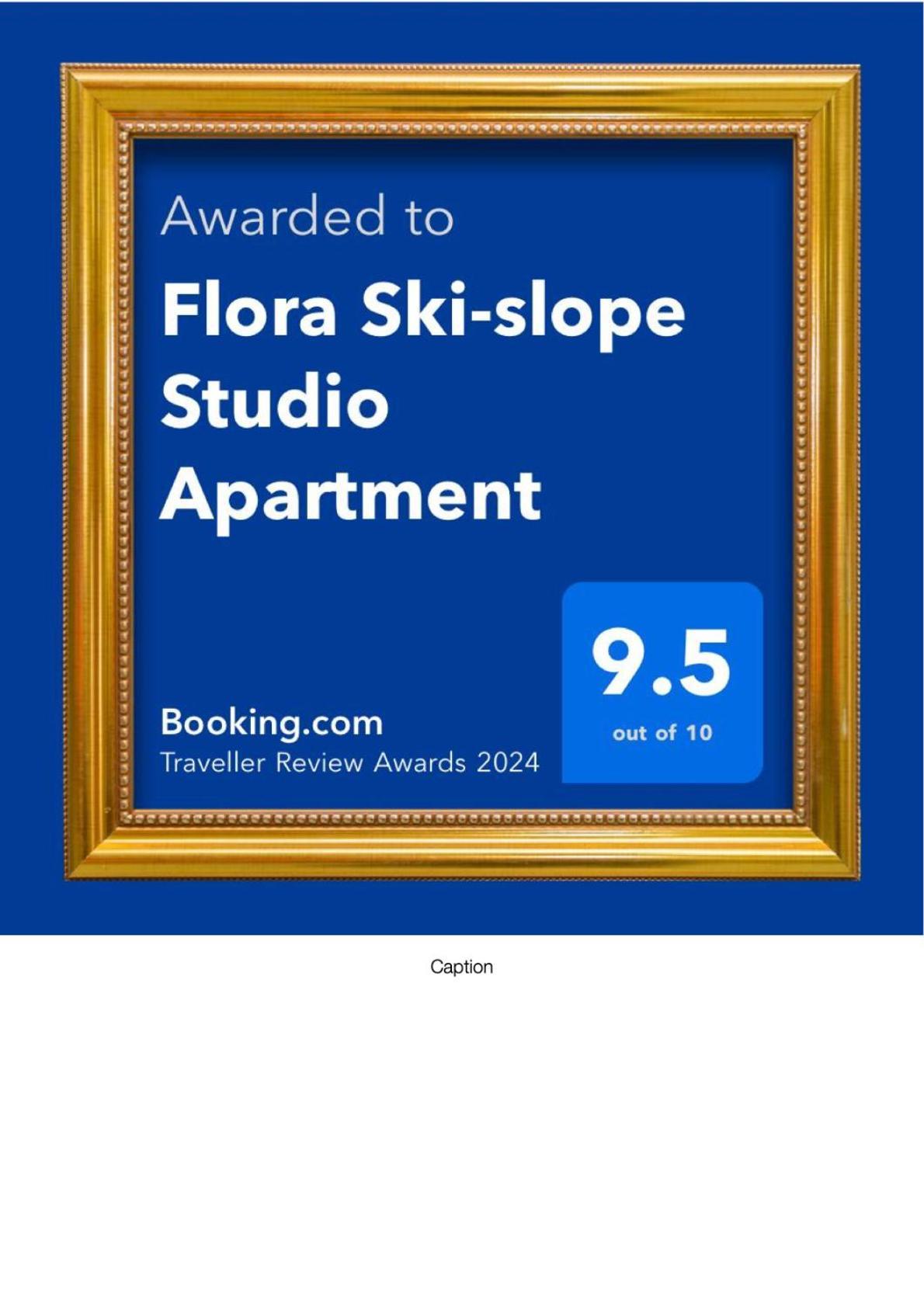 Flora Ski-Slope Studio Apartment Borovets Exterior foto